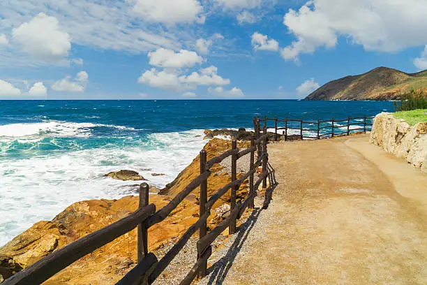 climate adaptation and resilience plan