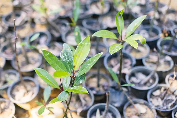 climate change and tourism